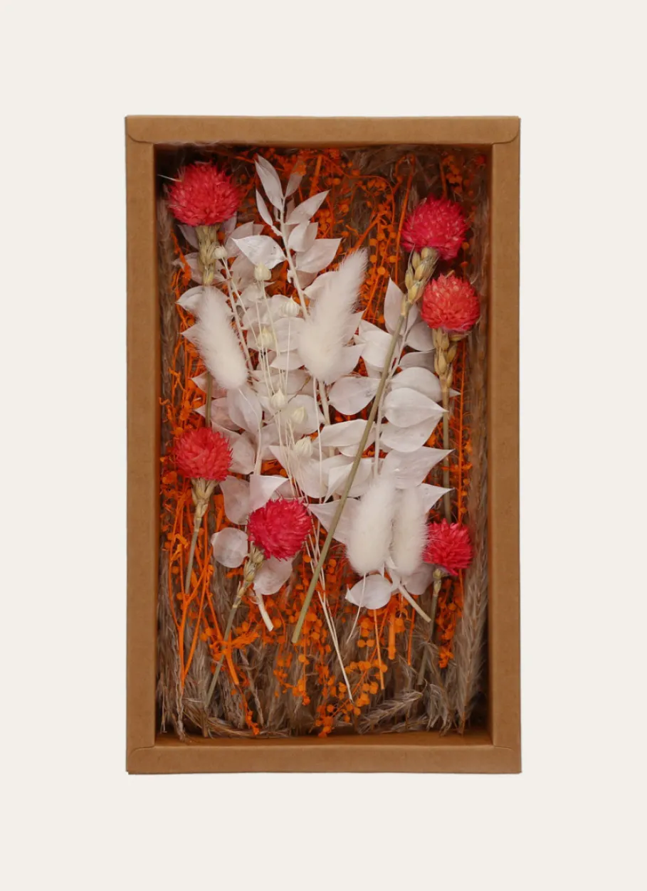 Bouchara Plante, Fleur^FLEURS SÉCHÉES