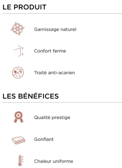 Bouchara Oreiller, Traversin^OREILLER CARRÉ NATUREL FERME ANTI-ACARIENS