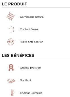 Bouchara Oreiller, Traversin^OREILLER RECTANGULAIRE NATUREL FERME ANTI-ACARIENS