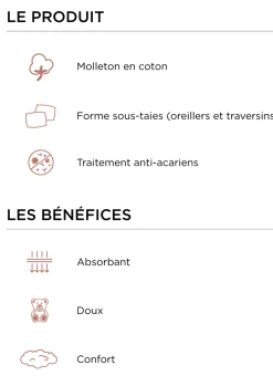 Bouchara Protection Literie^SOUS-TAIE DE TRAVERSIN EN COTON 220GR