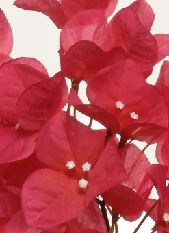 Bouchara Plante, Fleur^TIGE ARTIFICIELLE 100CM